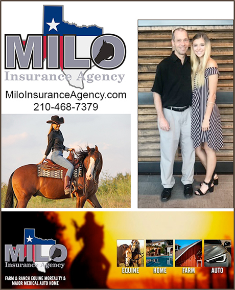 Milo Horse Information