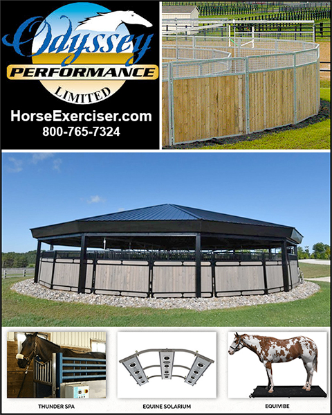 Exercise Equipment for Horses by Odyssey Performance Limited