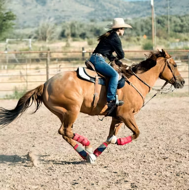 Non-Sweater horses little or no sweat during exercise. Anhidrosis