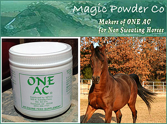 Horse Anhidrosis Prevention By ONE AC