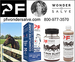 PF Wonder Salve Horse Proud Flesh Care