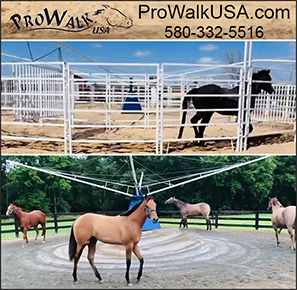 ProWalk USA Horse Exercise Equipment