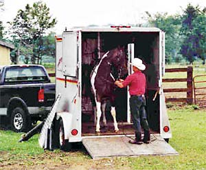 Horse Training Canada, Randy Bird