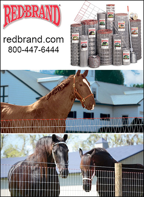 Red Brand Horse Fencing