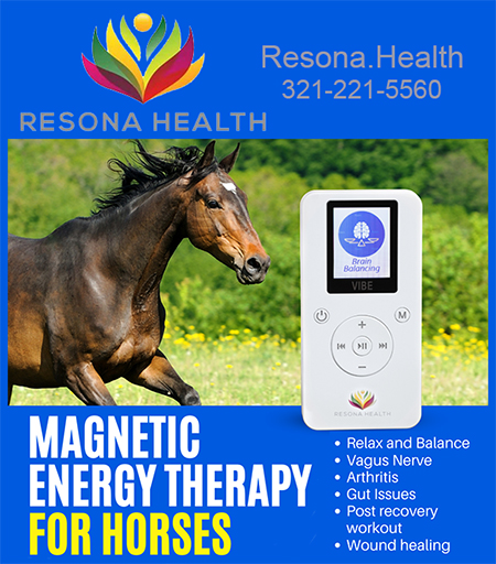 Resona Health Magnetic Energy Therapy for Horses