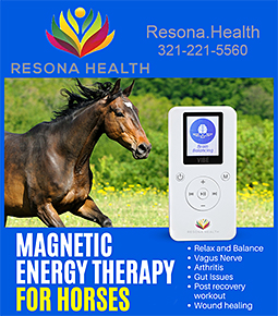 Magnetic Energy Therapy for Horses