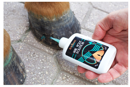 Horse hoof nail hole treatment