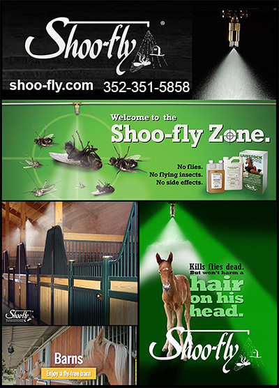 fly control for barns