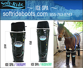 Soft Ride Cold Therapy Boots for Horses