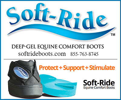 Soft Ride Boots for Horses
