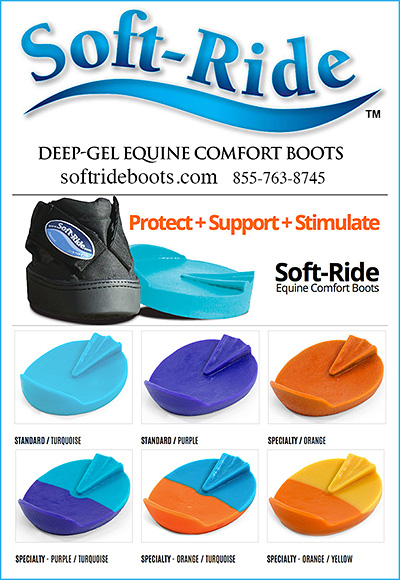 Soft Ride Boots for Horses