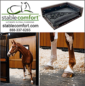 Stable Comfort Horse Stall Mattress