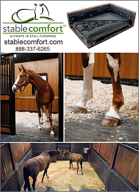 stablecomfortspon0625