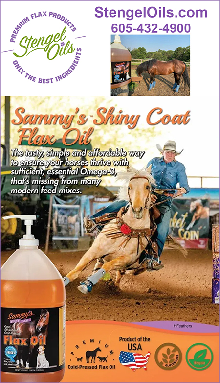 Stengel Flax Seed Oil for Horses