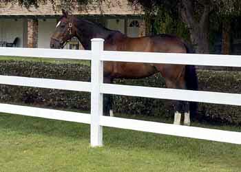 Safe Horse Fence