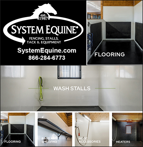 Wash Stalls for Horses by Systems Equine