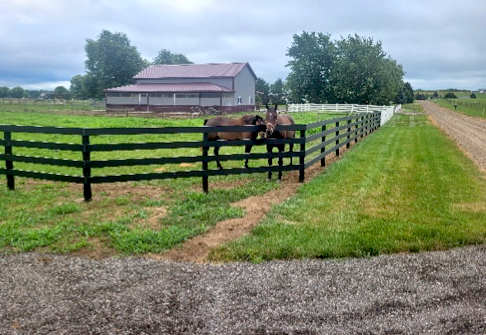 A proper fence for your horse pprotects from legal liability
