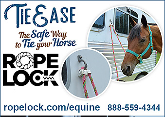 Tiie Ease Horse Tying Product