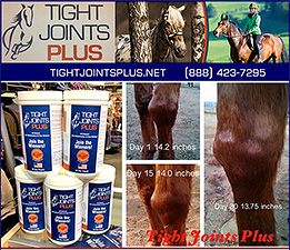 Horse Joint Supplement by Tight Joints Plus
