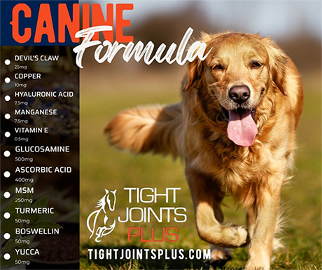 Healthy Joints for Dogs by Tight Joints Plus