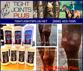 Horse Joint Supplement by Tight Joints Plus