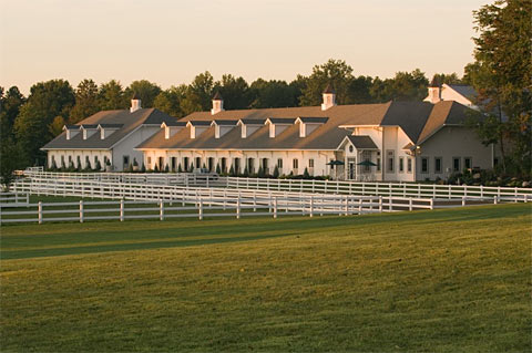 Horse Stable Outside