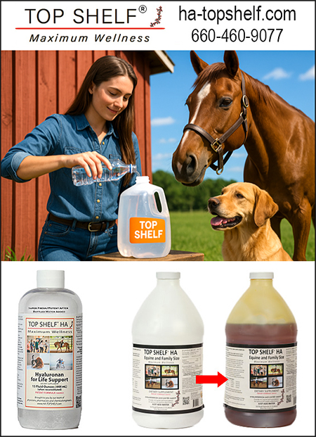 Top Shelf Hyaluronic Acid for Horses