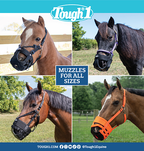 Horse Grazing Muzzles by Tough 1 Horse Tack