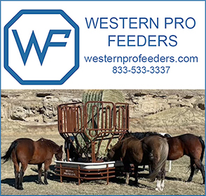 Western Pro Horse Pasture Horse Feeders