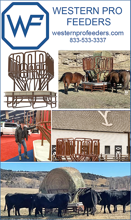 Western Pro Horse Pasture Horse Feeders