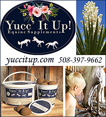 Yucc It Up Horse Health Supplements