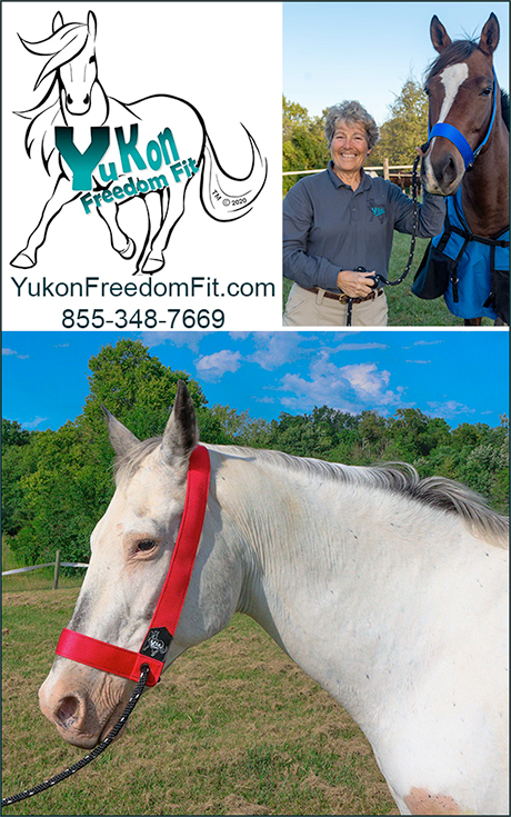 Horse Halters by Yukon Freedom Fit